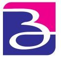 Logo Sgr Bxl Uitgesneden 300x117